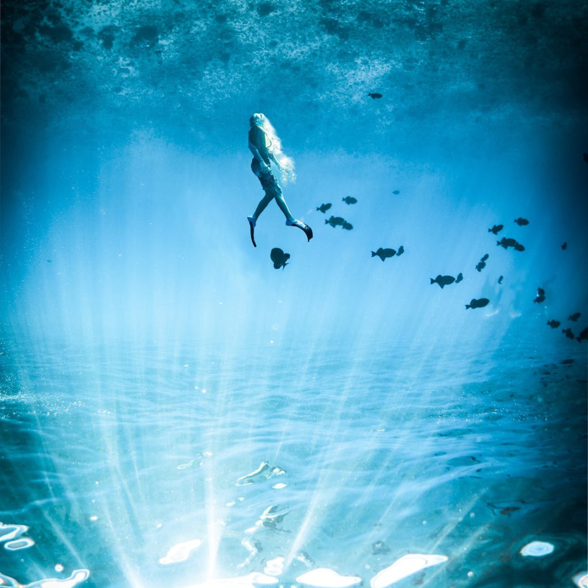 snorkel blue room innovation snorkel blue room innovation
