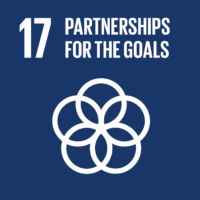 sdg 17 partnership goals