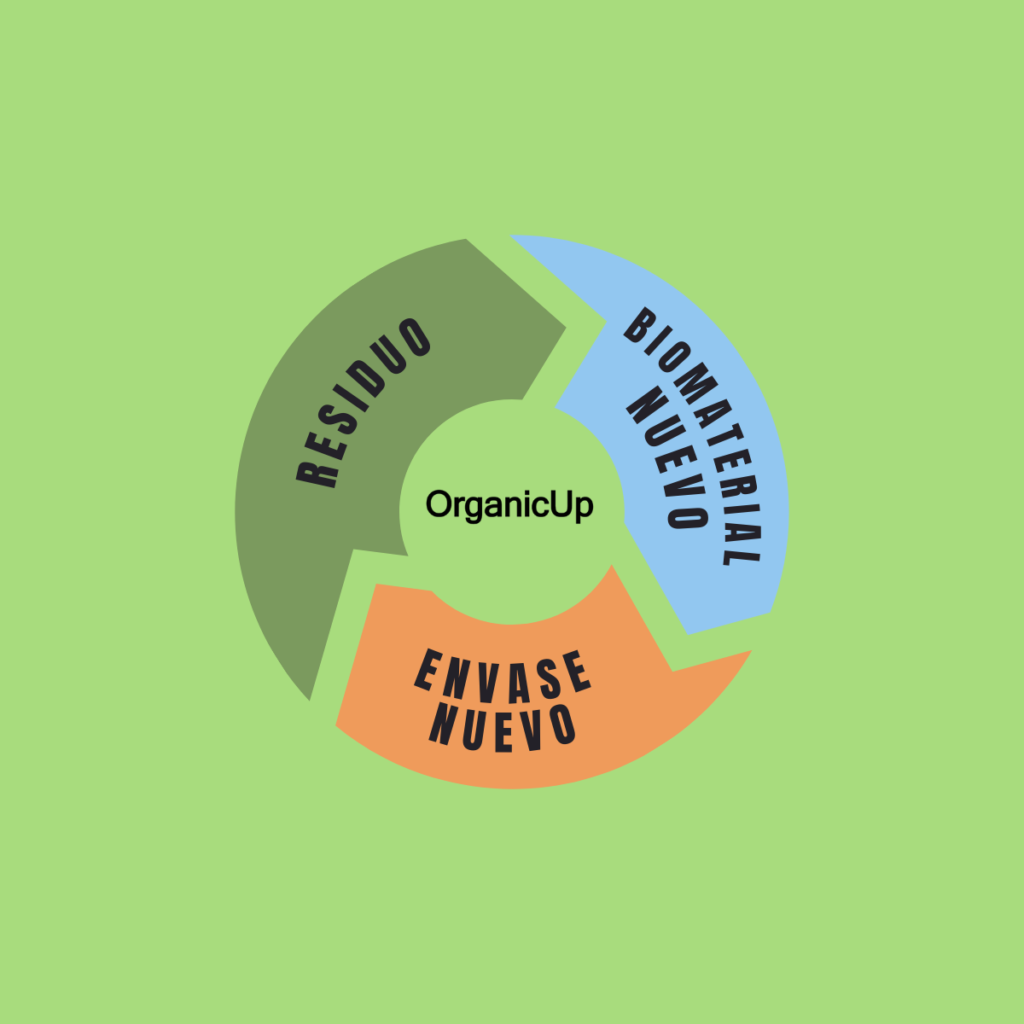 Cicle Organic Up
