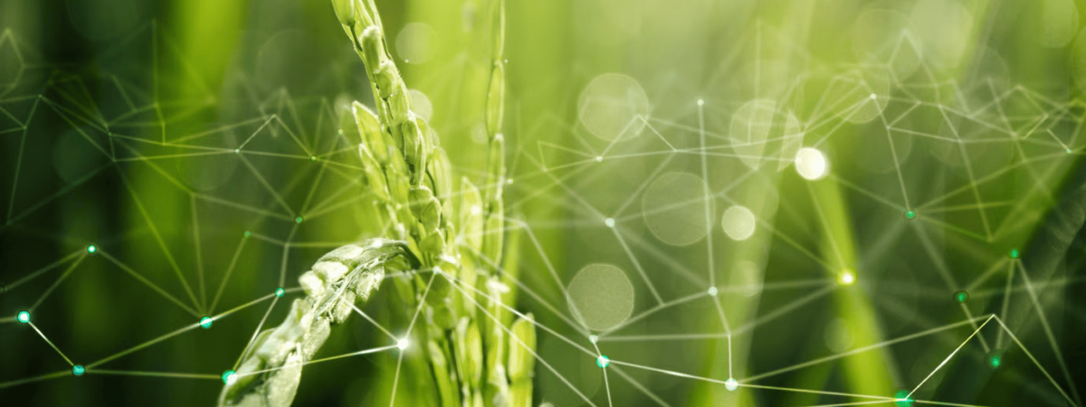 Blockchain product traceability-3 Blockchain product traceability-3